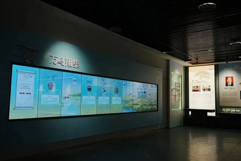 新增“万鸟翔集”互动魔墙，用数字媒介呈现湿地各类鸟类与动植物，堪称一本“活的鸟类百科全书”，轻点屏幕即可了解鸟类详情。
