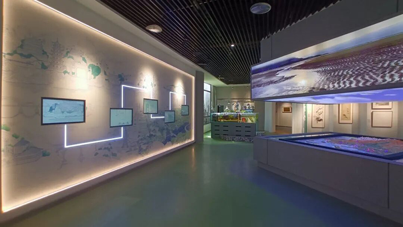 新增“湿地与城市”主题展墙，插画串联福州三坊七巷、上下杭、马尾船政等文化地标，以及长乐区景观节点与闽江河口湿地鸟瞰图，直观呈现湿地与城市的共生关系，印证闽江河口湿地对福州城市发展不可替代的生态价值。
