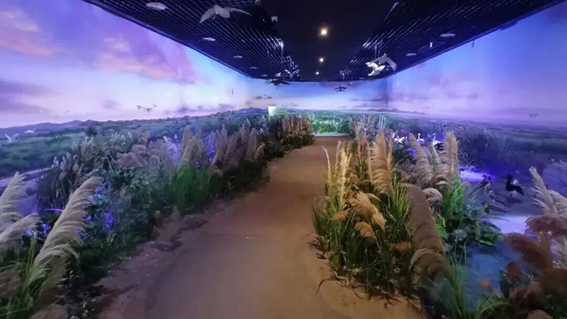 情景厅修复动植物标本模型，增加了陆地和空中鸟类标本模型，升级270度环幕投影，还原湿地四季流转与群鸟栖息场景，并增设官方拍照打卡点。