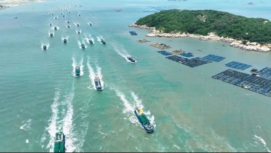 开海季福建即时零售“锁鲜”提速 市民可足不出户尝时令海味