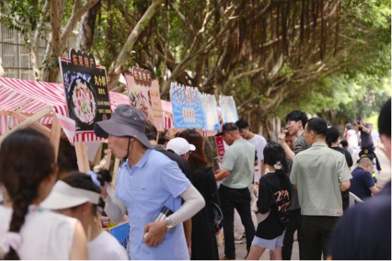东南网-开渔节报道373