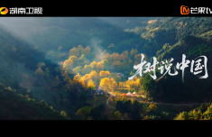 纪录片《树说中国》8月17日开播