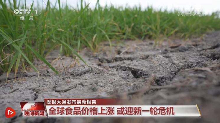 摩根大通发布最新报告|全球食品价格上涨 或迎新一轮危机