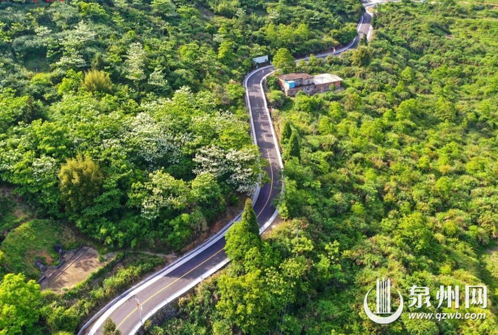 泉州南安蓬华镇“三色”风景路入选全国美丽公路