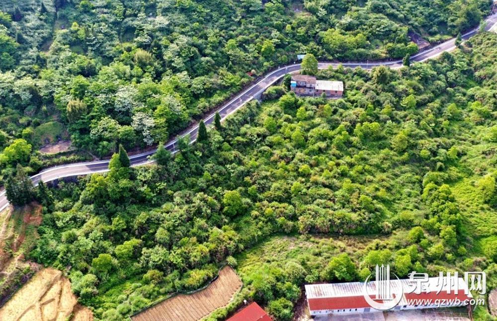 泉州南安蓬华镇“三色”风景路入选全国美丽公路