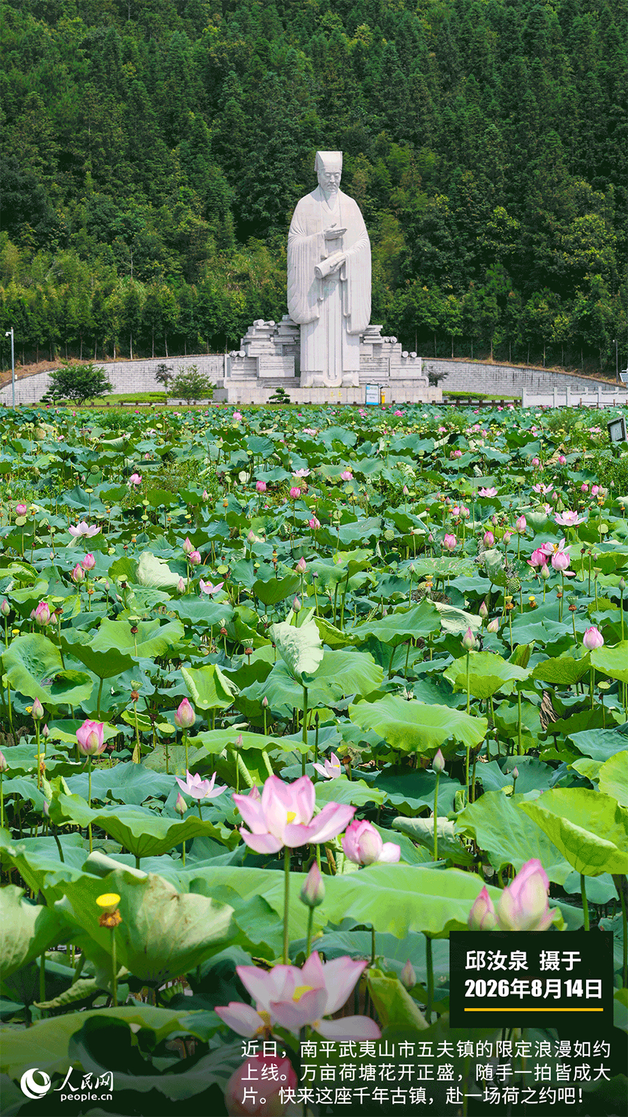 “遇见福建之美”栏目：聚焦福建一周大事记