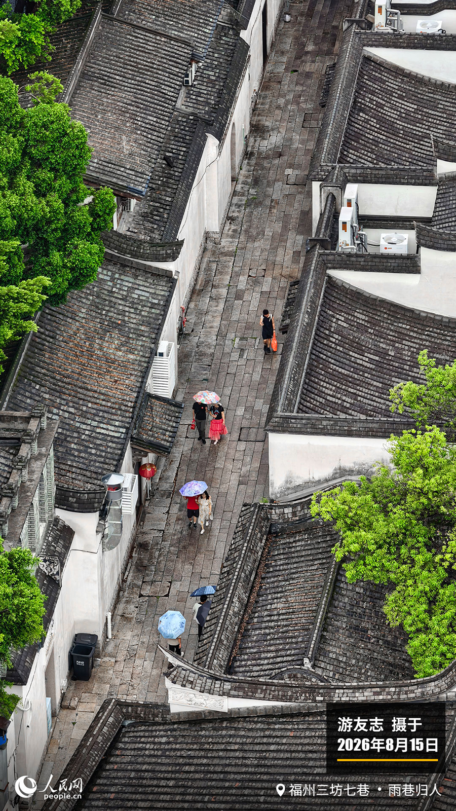 “遇见福建之美”栏目：聚焦福建一周大事记