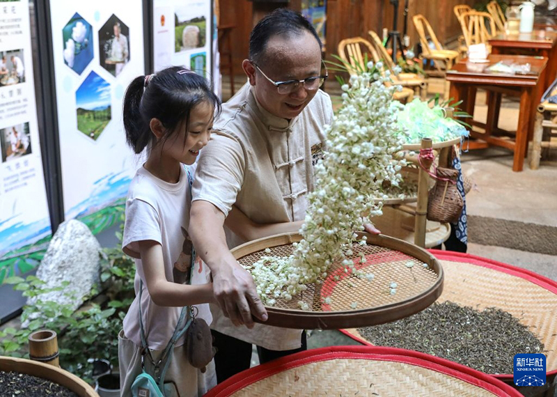 8月17日，在福州市上下杭历史文化街区“福州茉莉花美学馆”，小游客在手艺人严锦华的指导下体验茉莉花茶窨制工艺。新华社记者 杜潇逸 摄