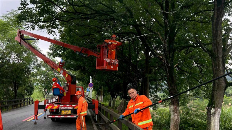 “巴威”来势汹汹，福建普通公路部门全力以赴筑牢安全防线