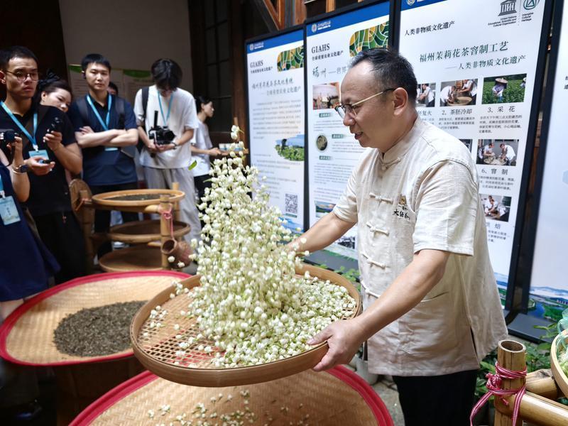 福州茉莉花茶窨制工艺代表性传承人严锦华现场演示传统技艺，向来往游客讲解工艺精髓。