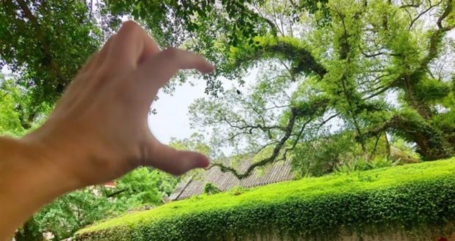 在福建过七夕，原来可以这么“有爱”！