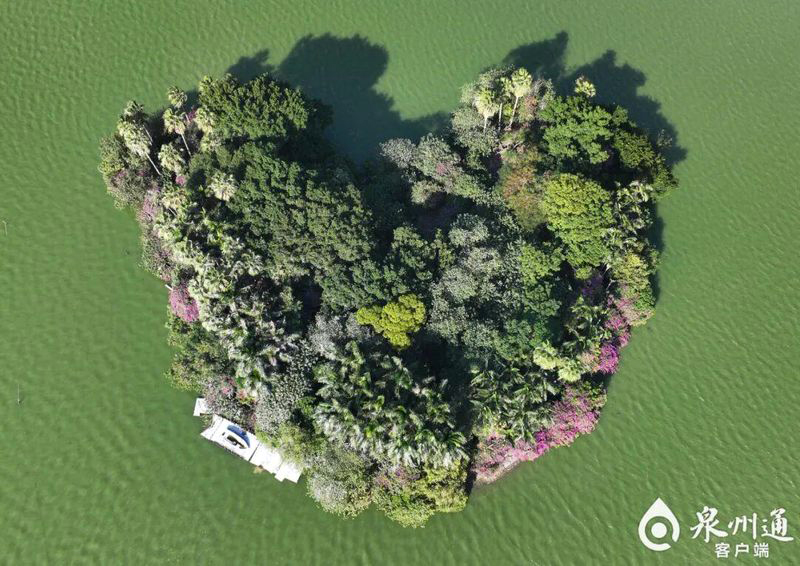 泉州西湖公园爱心岛。图源：泉州通客户端
