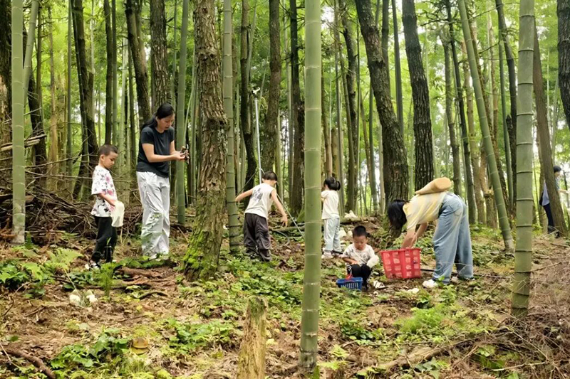 不少游客慕名前来，沉浸式体验山野采摘的乐趣。