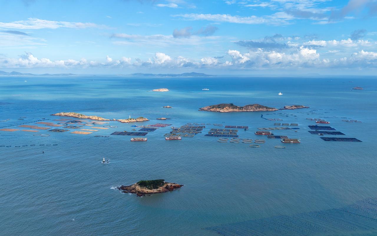 连江定海湾海域，这里地处闽江与敖江入海口交汇处，咸淡水交融，浮游生物丰富，具有得天独厚的水质优势。