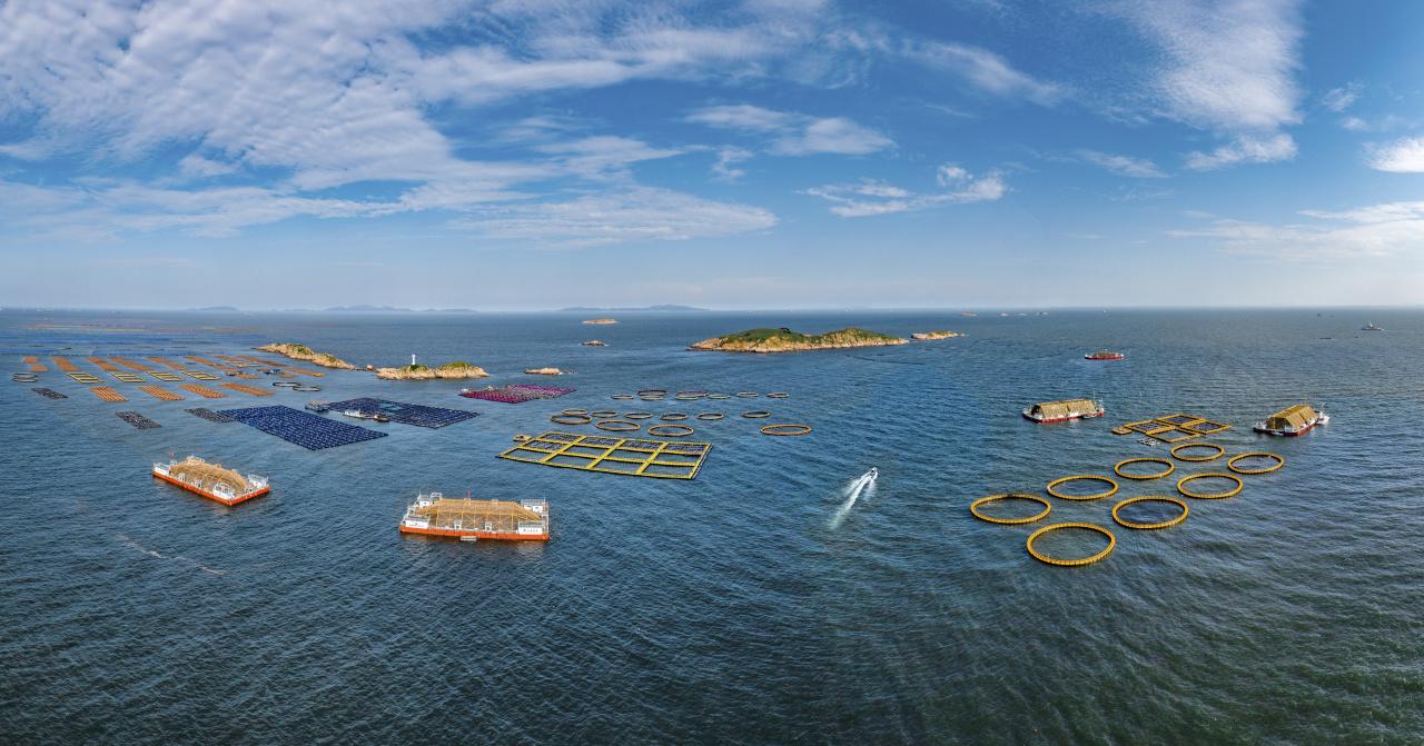 连江定海湾海域，这里地处闽江与敖江入海口交汇处，咸淡水交融，浮游生物丰富，具有得天独厚的水质优势。