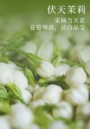 40℃的伏天,这茶一入口:香、透、清、亮、鲜、灵、甜、妙!你就喝吧,一喝一个不吱声