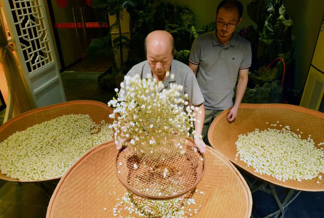 40℃的伏天,这茶一入口:香、透、清、亮、鲜、灵、甜、妙!你就喝吧,一喝一个不吱声