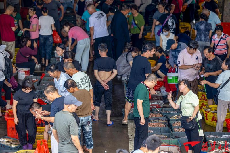 8月18日，福州长乐三营澳码头，归港渔船刚捕上来的“第一网海鲜”一筐接一筐运送到紧邻码头的三营澳海鲜市场售卖，前来选购的人群络绎不绝。王学松 摄