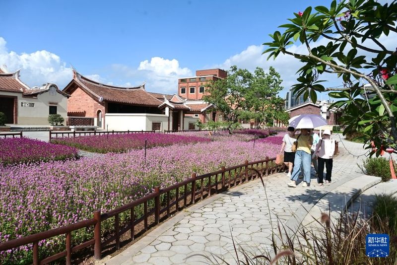 8月19日，市民游客在漳州龙江岁月园区参观游玩。新华社记者 林善传 摄