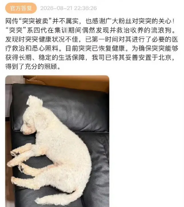时代峰峻否认流浪狗被卖：目前突突已妥善安置于北京 