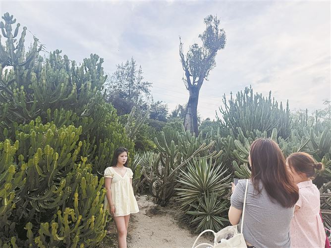 植物脾气不同 厦门植物园夏季如何照护？