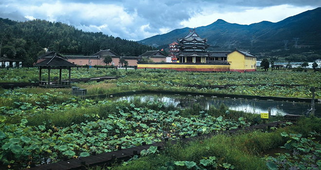 活力中国调研行丨宁德：高山县城的“冷”与“热”