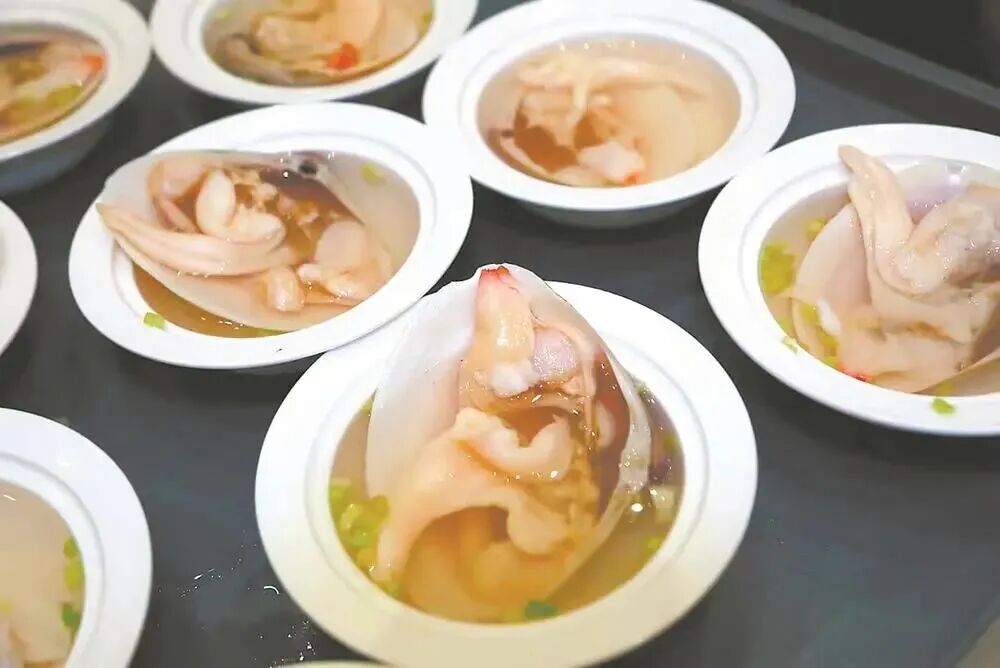 漳港海蚌是经典闽菜鸡汤汆海蚌的核心食材。