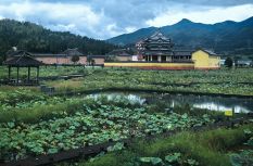 活力中国调研行丨宁德：高山县城的“冷”与“热”