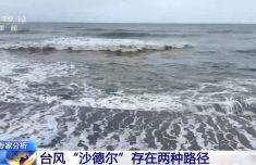 专家分析：台风“沙德尔”存在两种路径