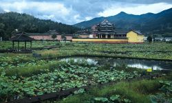 活力中国调研行丨宁德：高山县城的“冷”与“热”
