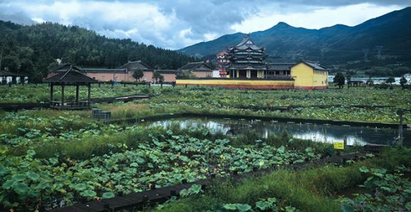 活力中国调研行丨宁德：高山县城的“冷”与“热”