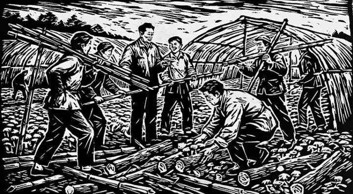 从连环画看“美术里的援宁故事”——闽宁连环画作品联展在宁夏银川举行