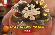 女子买到长蘑菇柿子：已寄给研究所
