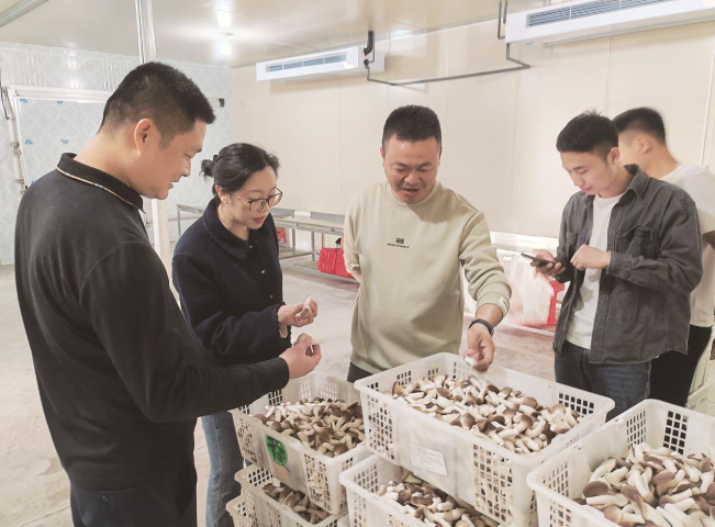 漳州台商区沙坂村驻村第一书记陈荞颖：“乡亲们日子好过了，咱就没白干”