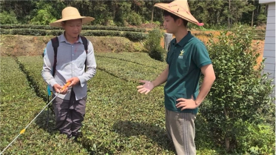 从茶园到实验室再到田间：&ldquo;茶卫士&rdquo;团队的乡村振兴梦462