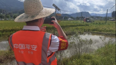 双台风接力风雨急 平安橙逆行践担当——平安产险福建分公司全力筑牢防汛防台“安全堤”