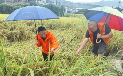 双台风接力风雨急 平安橙逆行践担当——平安产险福建分公司全力筑牢防汛防台“安全堤”