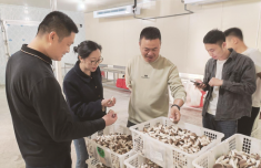漳州台商区沙坂村驻村第一书记陈荞颖：“乡亲们日子好过了，咱就没白干”
