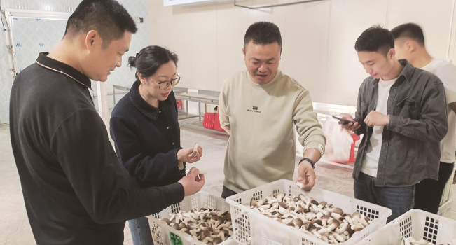 漳州台商区沙坂村驻村第一书记陈荞颖：“乡亲们日子好过了，咱就没白干”