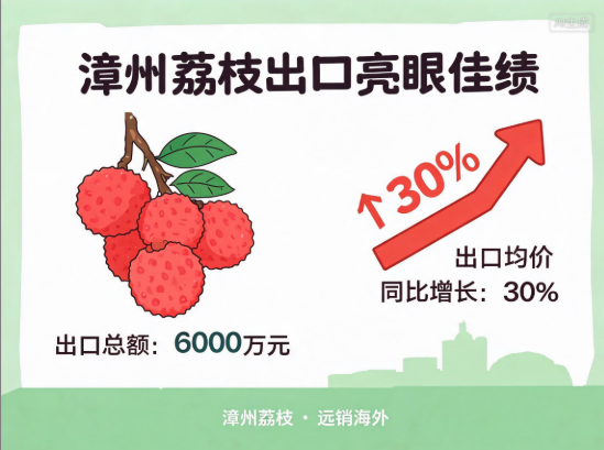 漳州荔枝出口了6000万元 出口荔枝均价同比增长30%
