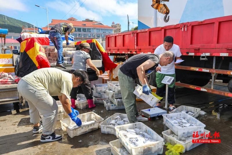 开渔海鲜吸引不少采购商。连江融媒体供图