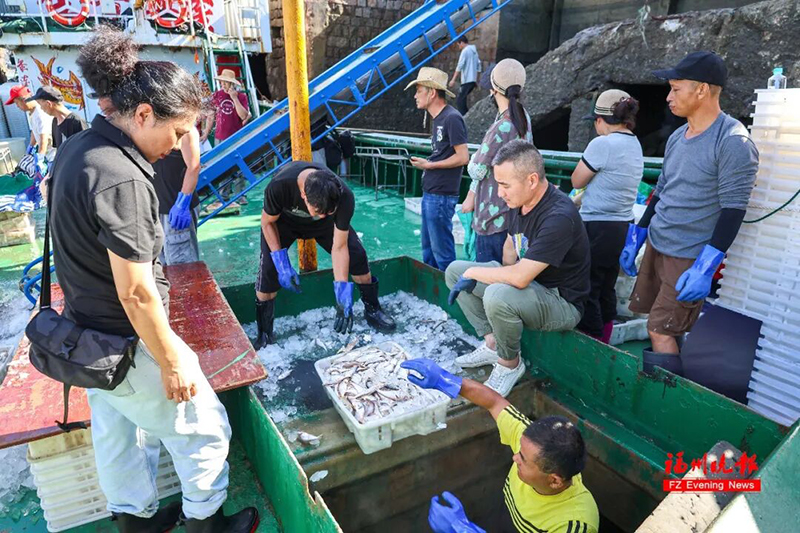 开渔海鲜吸引不少采购商。连江融媒体供图