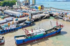 跟着“寻鲜地图”尽享闽都海味