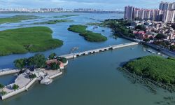福建洛江：千年古桥“潮”起来