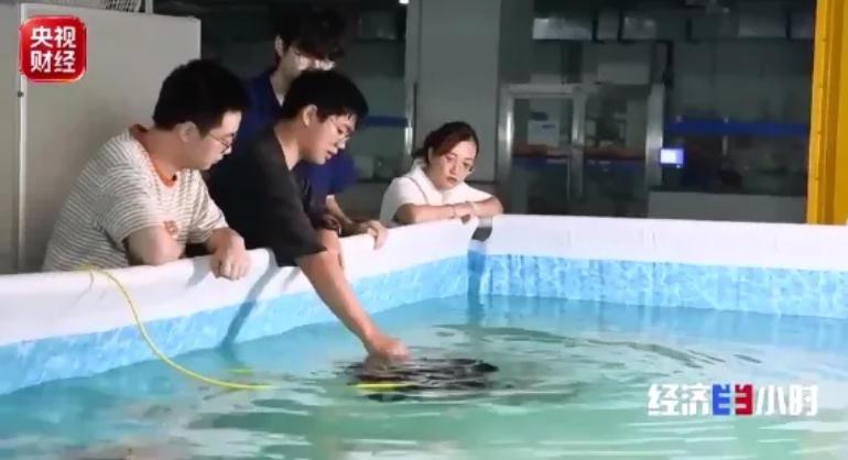 大学专业迎来一轮“上新” 就业前景如何？