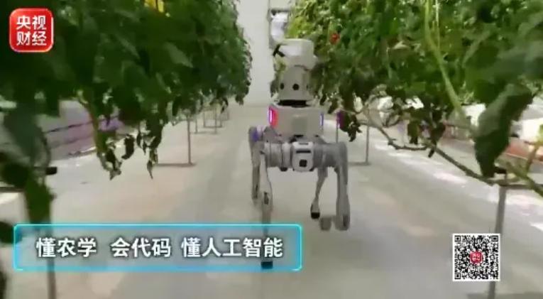 大学专业迎来一轮“上新” 就业前景如何？