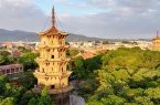守住来时路 奔赴山海间 泉州文化守护者的“双线叙事”
