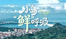 福建莆田湄洲岛：“见缝插针”追“零碳”