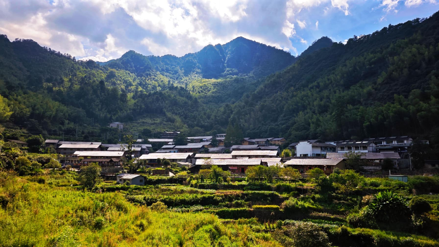 “不砍一棵树，村民也致富”——匡山深处“世外桃源”的出圈记