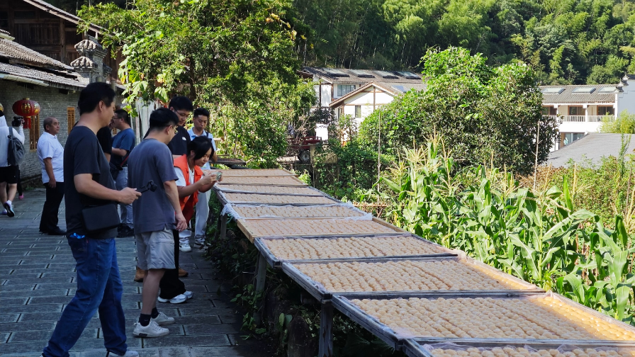“不砍一棵树，村民也致富”——匡山深处“世外桃源”的出圈记